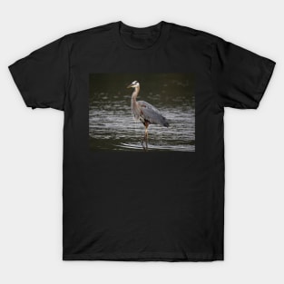 Great Blue Heron T-Shirt